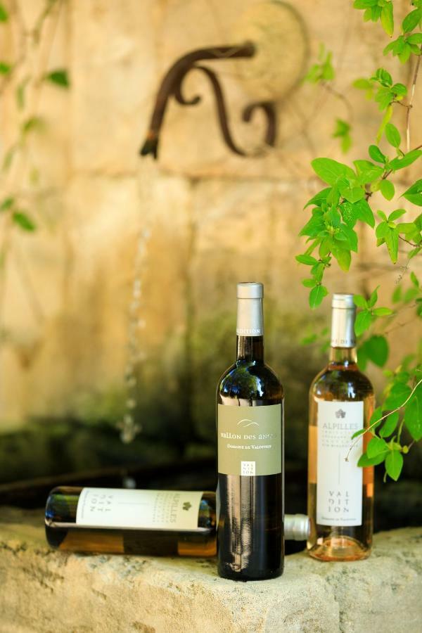 マス バレンタイン Saint-Rémy-de-Provence エクステリア 写真