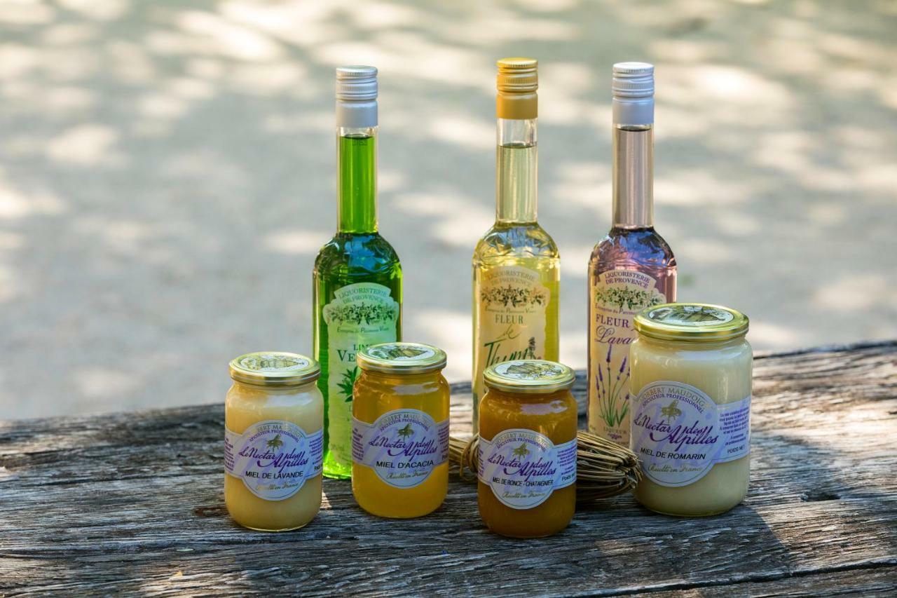 マス バレンタイン Saint-Rémy-de-Provence エクステリア 写真